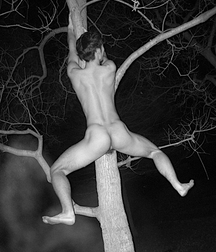 French tradition 5c5b4fd726e25.jpg