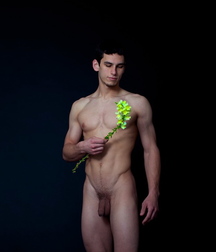 Flowers and paintings 5c7ac06e20d2b.jpg