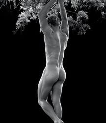 Unbearable lightness of the being 5ca50ca65923c.jpg