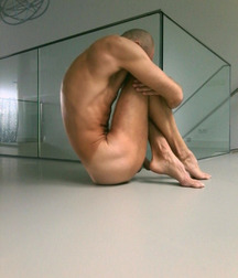 Muscles 5d90e4f36efee.jpg