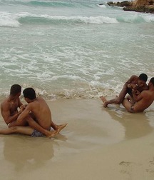 A beach in the tropics 5de50dfa294ce.jpg