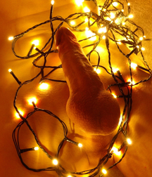 My Christmas Garlands 5e04b3b348133.jpg