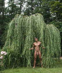 Celebrity magazine gay boys outdoors porn 5e19c4dfeedf5.jpg