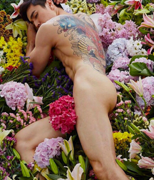 Artistic researches beautiful gay boys nudity  