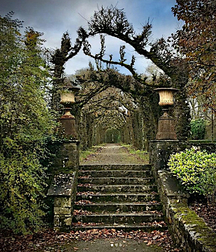 Door crossed, it's happiness! 5e20a1f84885d.jpg