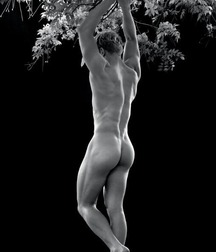 Aesthetics of male - twink porn gay tube 5e5e9f5828510.jpg
