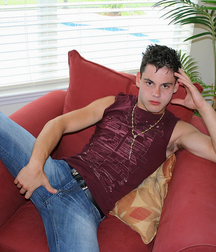 The red armchair 5eaacd7e9887e.jpg