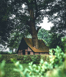 You're my cozy nest 5ed281f18b411.jpg