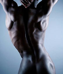 gay porn boys colts and bulls 5ed6b1e988b03.jpg