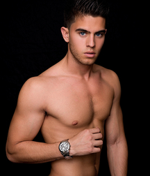 Gay tube study of comparative anatomy