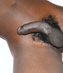 Morning perfumes boys porn 5f1b06e42a25b.jpg
