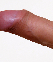 Comparative boys porn anatomy study 5f1b0e4e75542.jpg