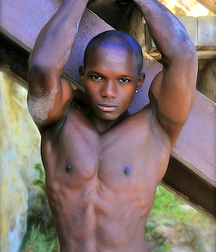 Fruit harvest gay twink boys porn 5f71c8d617a53.jpg
