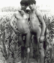 Beauty don't need Color twinks gay porn 5f99a5a511c9d.jpg