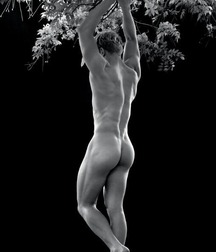 Boys Porn Aesthetic of Male 5fd61a3abe839.jpg