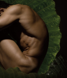 Boys Porn Art Photographers 5fda10e3336f6.jpg