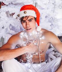 My Christmas Garlands Gay Tube 5fdf5b0d20980.jpg