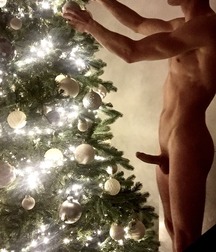 Christmas Tree Gay Tube 5fe0a184702dc.jpg