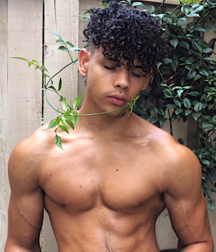 Gay Tube Canons of Beauty Twink Porn 5ffeec1924e37.png
