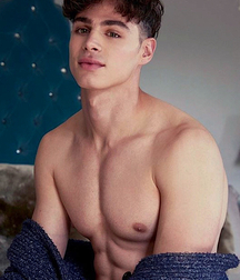 Gay Tube Canons of Beauty Twink Porn 5ffeec20cbf07.jpg