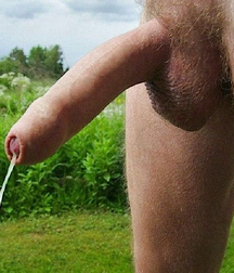 I offer Champagne Twink Gay Porn 6008372ed114c.jpg