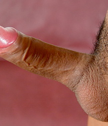  Silk of the trade winds boys porn 601bf2666b69e.jpg