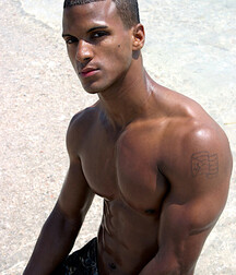 Guys Gay Tube My Press Book 6031437165069.jpg
