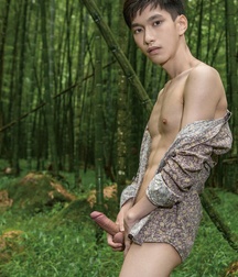 Asian Charms Gay Porn Tube 60a67087daa99.jpg