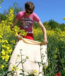 Rapeseed scent gay tube 60a8023f257ae.jpg