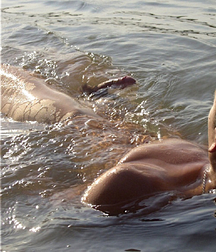 Boys Porn In the flow of the waves 60bcbc71dba36.jpg