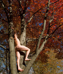 Nature's Benefits Gay Porn Tube 60d31b96e16ae.jpg