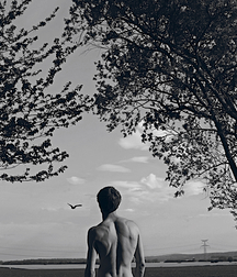 Gay Porn Exhibition at the Art Gallery 60d862fc693df.jpg