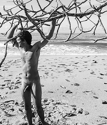 Gay Porn Aesthetics of Black 60e82d498f07f.jpg