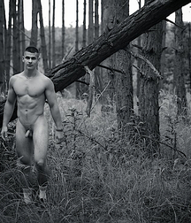 Gay Porn Aesthetics of White 60e89e6f28b0c.jpg