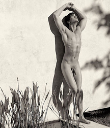 Gay Porn Aesthetics of White 60e89e9c2f5fb.jpg