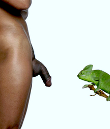 Gay Porn Small Daily Happiness 60ee19f383b50.jpg