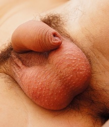 Boys Porn It’s better by far  60f02b1fccf95.jpg