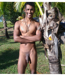 Gay Porn Under the trade winds 60f414034cece.jpg