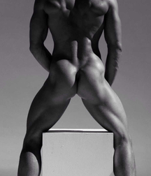 Gay Porn Twinks What Changed 60fc65cd62491.jpg