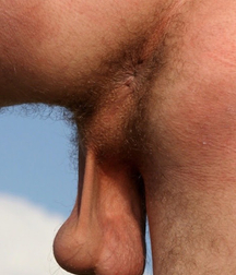 In any way gay porn 6124e54c43885.jpg