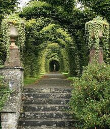 Gate of happiness.gay porn 613babef105fb.jpg