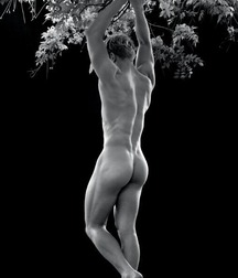 Gay Porn Aesthetic of Man 615aed72c32c5.jpg