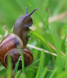 Small pets around Squiltown Gay Porn 615f4fee9d5e7.jpg