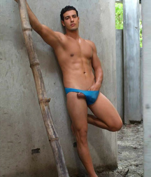 Summer in Capri Gay Porn 61681961a359a.jpg