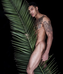 Gay Porn Where's my gift twinks 616c0d1de1d7c.jpg
