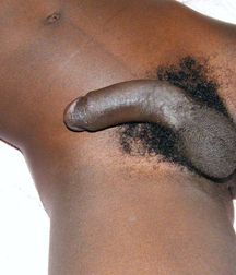 Gay Porn Morning Perfumes 618ad79b06900.jpg