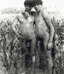 Beauty don't need Color Gay Porn 6198f38ed12c9.jpg