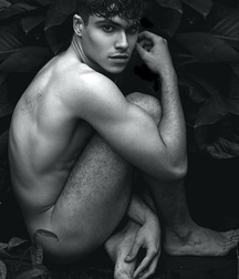 Gay Porn Everything or Almost Twinks 61b34b8904eea.jpg