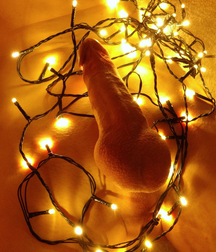 My Christmas Garlands Gay Porn Season 61c8da76d7c93.jpg