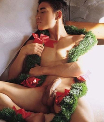 My Christmas Garlands Gay Porn Season 61c8dab409516.jpg